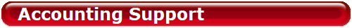 Accounting Support